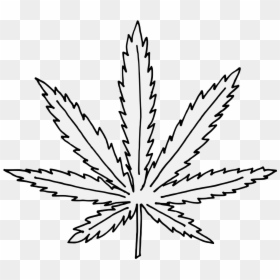 Marijuana Leaf Coloring Page, HD Png Download - ivy leaf png