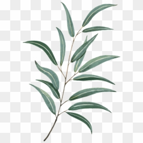 Leaves Watercolor Png, Transparent Png - flying leaves png