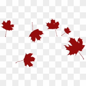 Falling Leaves Clipart Black And White, HD Png Download - flying leaves png