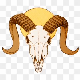 Ram Skulls Png, Transparent Png - goat skull png