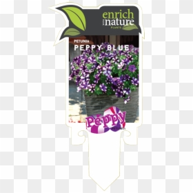 Bouquet, HD Png Download - petunia png