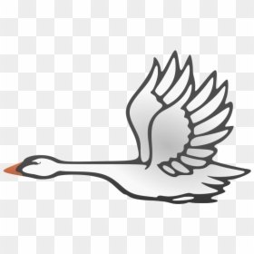 Flying Swan Clipart, HD Png Download - swan silhouette png