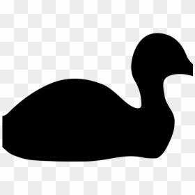 Duck, HD Png Download - swan silhouette png