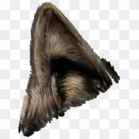 Wolf Ears Transparent, HD Png Download - cat ear png