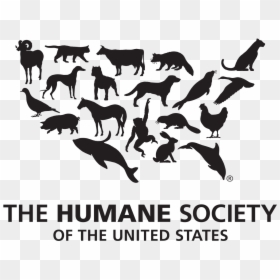 Humane Society Of The United States, HD Png Download - swan silhouette png