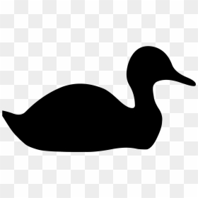 Silhouette Of Duck, HD Png Download - swan silhouette png