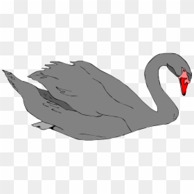 Black Swan Clipart, HD Png Download - swan silhouette png