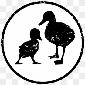 Odd Duck Restaurant Logo, HD Png Download - swan silhouette png