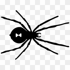 Black Widow Spider Mark, HD Png Download - spider silhouette png