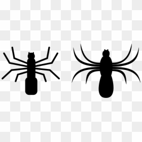 Spiders Clip Art, HD Png Download - spider silhouette png