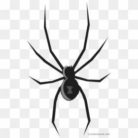 Black Widow Drawing Spiders, HD Png Download - spider silhouette png