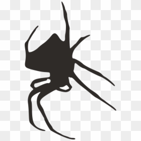 Silhouette, HD Png Download - spider silhouette png