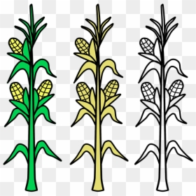 Corn Stalk Clipart Black And White, HD Png Download - corn plant png