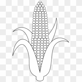 Corn Clipart Black And White, HD Png Download - corn plant png