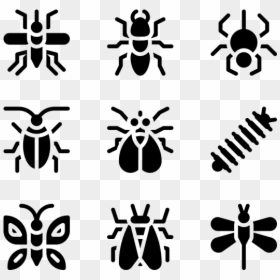 Insect, HD Png Download - spider silhouette png