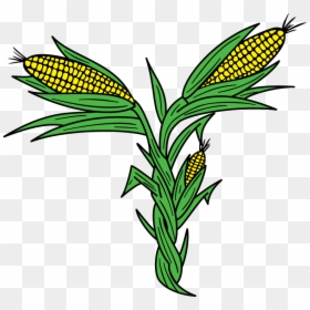 Clip Art, HD Png Download - corn plant png