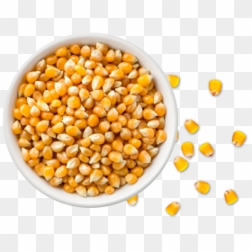 Popcorn Kernels In Bowl, HD Png Download - corn plant png