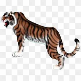 Tiger, HD Png Download - tiger icon png