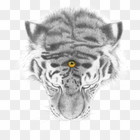 Bengal Tiger, HD Png Download - tiger icon png