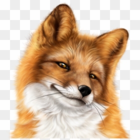 Fox Face, HD Png Download - fox face png