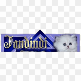 Triangle, HD Png Download - chinchilla png