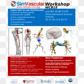 Flyer Model Png, Transparent Png - flyer model png