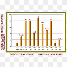 Diagram, HD Png Download - yuca png