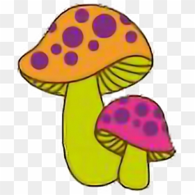 Shrooms Png, Transparent Png - shrooms png