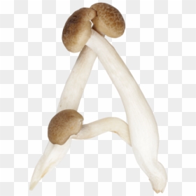 Shimeji Mushrooms Png, Transparent Png - shrooms png