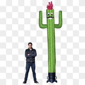 San Pedro Cactus, HD Png Download - cartoon cactus png