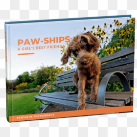 Dog Catches Something, HD Png Download - puppy paw png