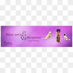 Golden Retriever, HD Png Download - puppy paw png