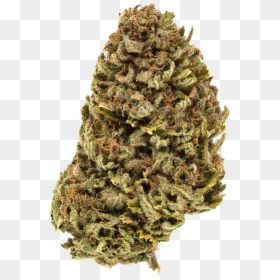 Gorilla Cake Weed Strain, HD Png Download - cherry pie png