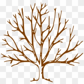 Bare Tree Clipart, HD Png Download - tree branch vector png