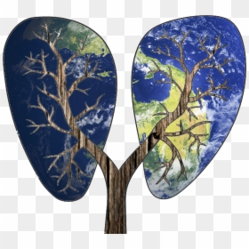 Tree, HD Png Download - tree branch vector png