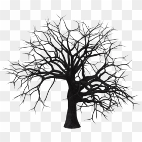 Black And White Tree Png, Transparent Png - tree branch vector png