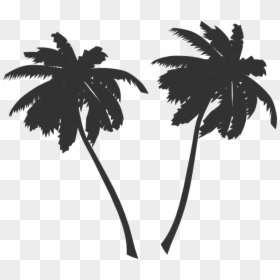 Palm Tree Vector Png, Transparent Png - palm leaf vector png