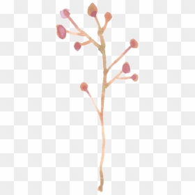 Twig, HD Png Download - tree branch vector png