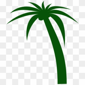 Coconut Tree Clipart Vector, HD Png Download - palm leaf vector png