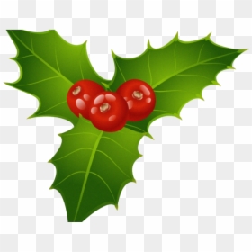Christmas Mistletoe Clipart, HD Png Download - leaves transparent png