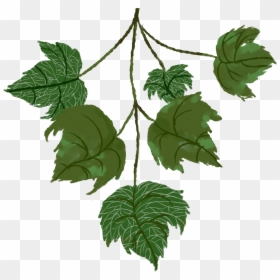 Texture Tree Leaves Png, Transparent Png - leaves transparent png