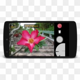 Az Camera, HD Png Download - lente de camara png