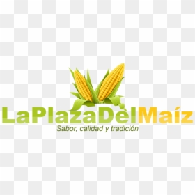 Maize, HD Png Download - maiz png