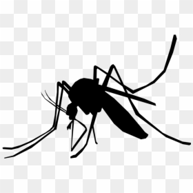 Mosquitos Png, Transparent Png - mosquito silhouette png
