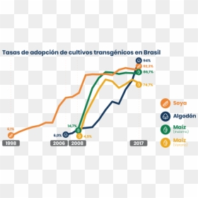 Transgênicos No Brasil, HD Png Download - maiz png