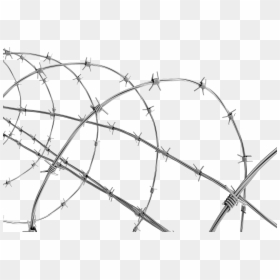 Barbed Wire Fence Png, Transparent Png - razor wire png