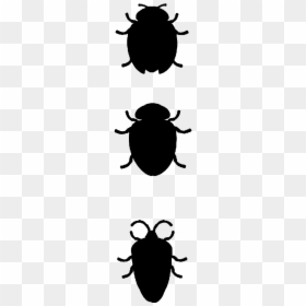 Silueta De Un Escarabajo, HD Png Download - mosquito silhouette png