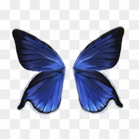 Butterfly Wings No Background, HD Png Download - blue wings png