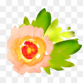 Water Color Flower Clip Art Free, HD Png Download - watercolor clipart png