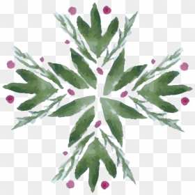 Verbena, HD Png Download - watercolor clipart png